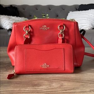 Coach Bag and wallet